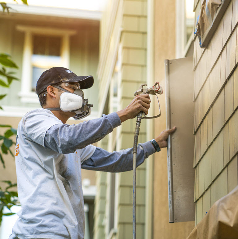 Small image of a Pro painter painting and exterior wall
